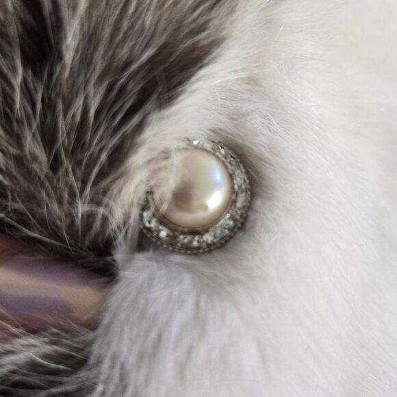 Mink Leopard coat jacket RARE - Picture 10 of 16